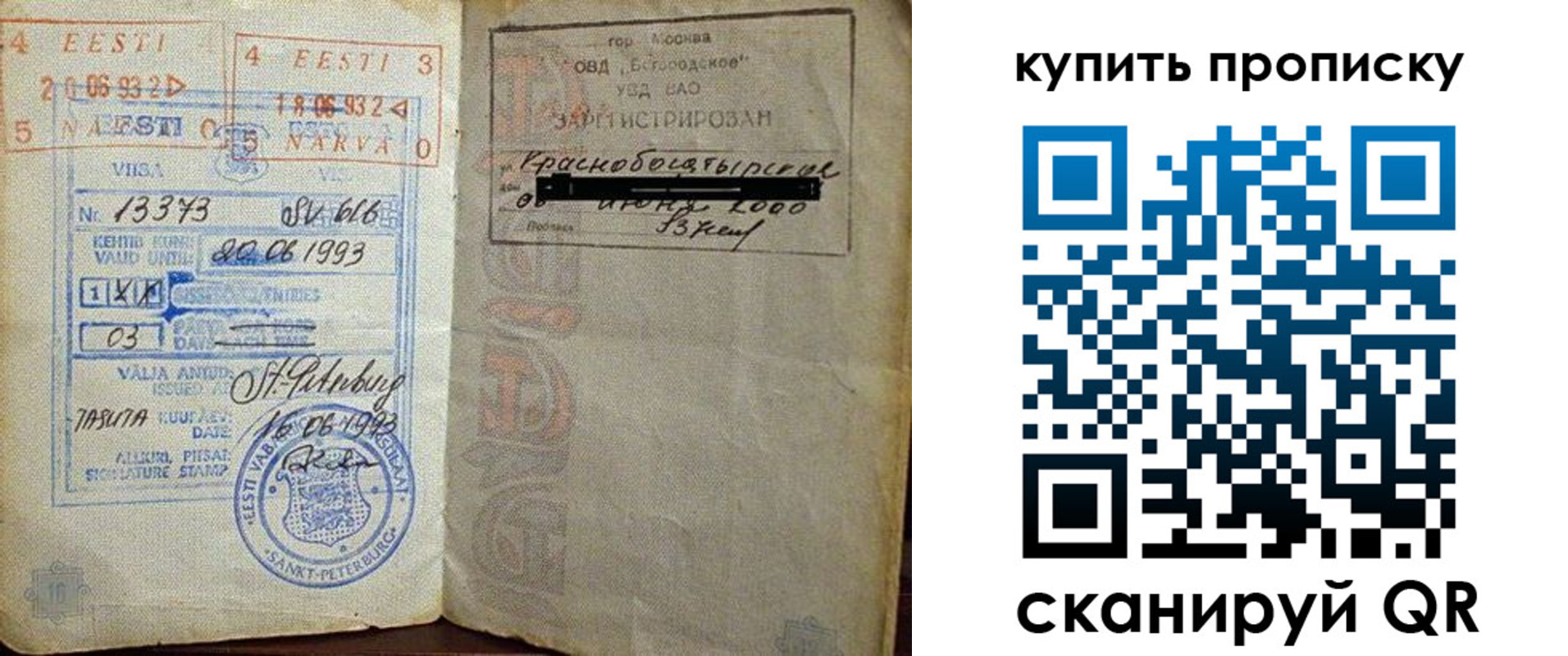 прописка для школы в Коряжме